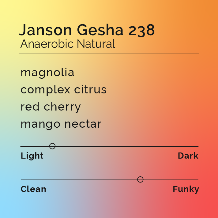 Producer, Janson Gesha 238 Anaerobic Natural Coffee is the title of this label. The label has a colorful spot gradient with a yellow left corner, medium pumpkin orange right corner, a sky blue bottom left corner and a medium red corner in the bottom right corner. The image features the tasting notes of magnolia, complex citrus, red cherry, and mango nectar. It has a roast scale of level 2 out of 10 and a Funky scale of 7 out of 10.